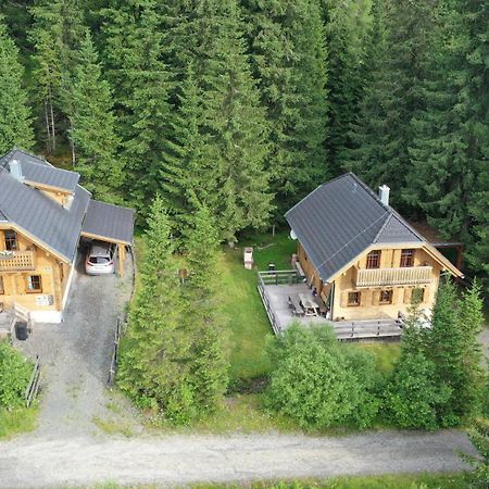 Almhaus & Almchalet Flattnitz Kültér fotó