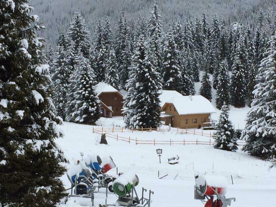 Almhaus & Almchalet Flattnitz Kültér fotó