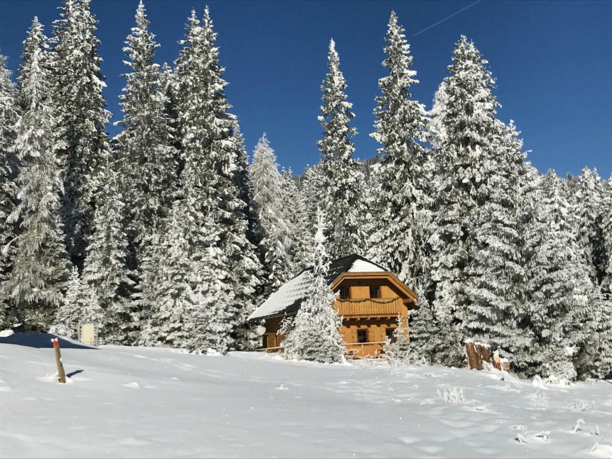 Almhaus & Almchalet Flattnitz Kültér fotó